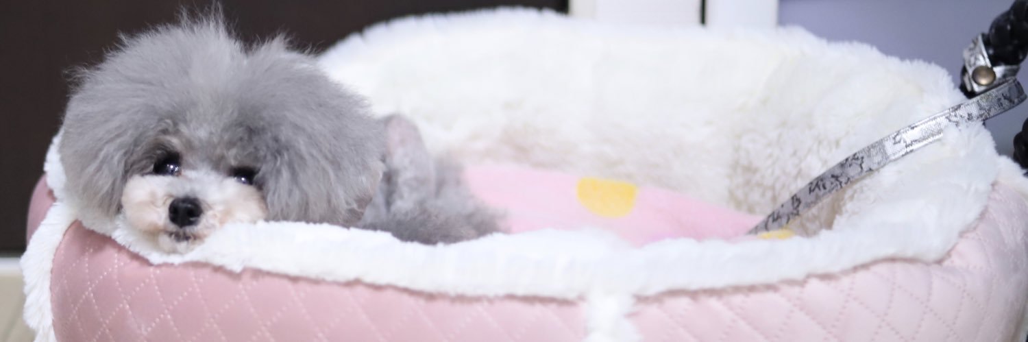 未來 banner