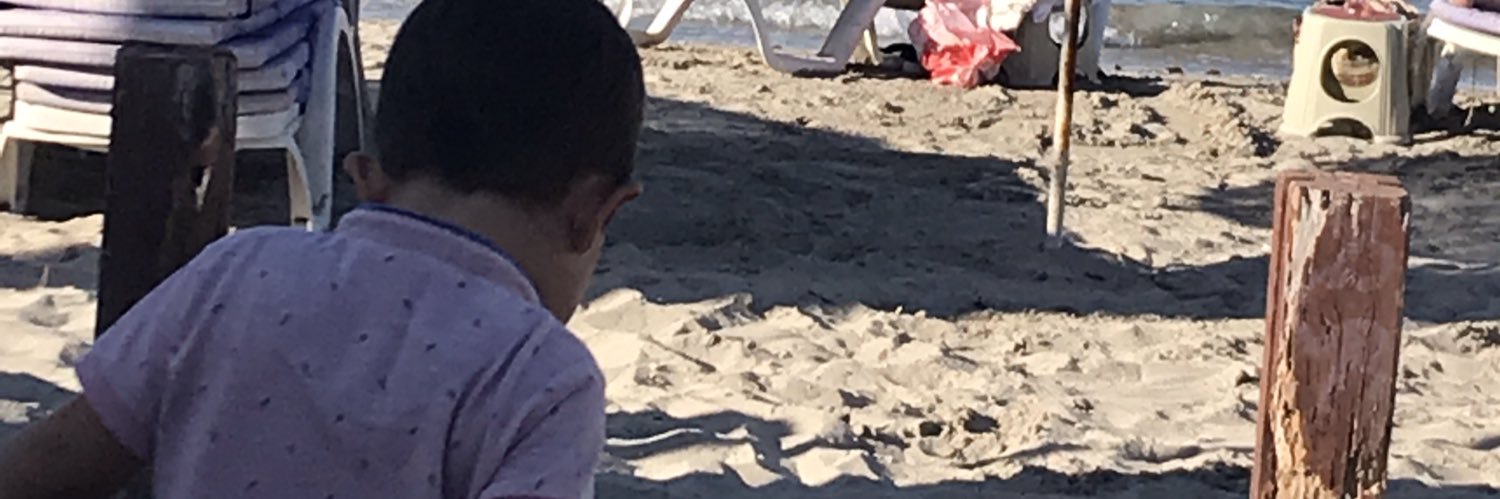 ibrahim erilli banner