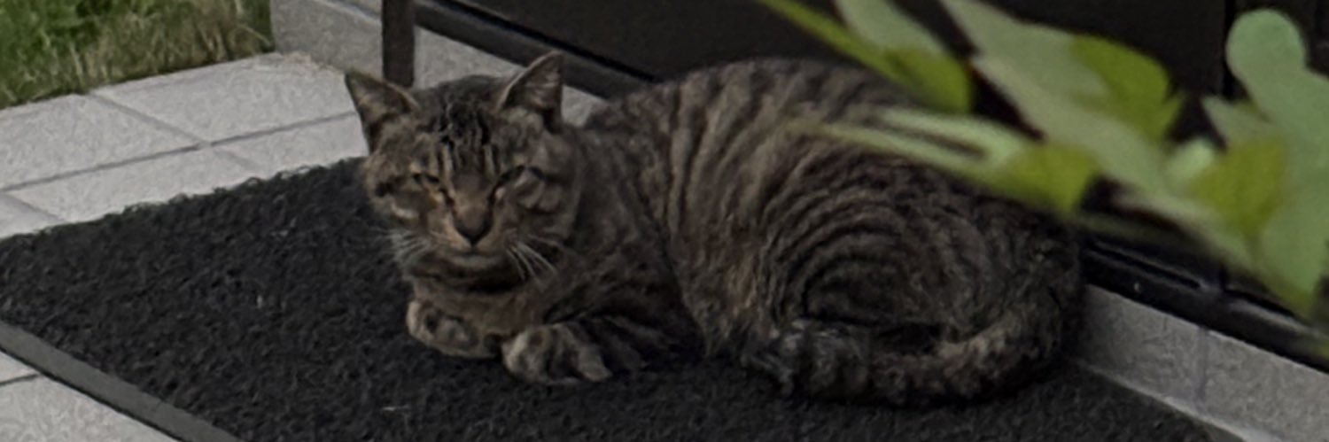 noob I ま〜ず banner