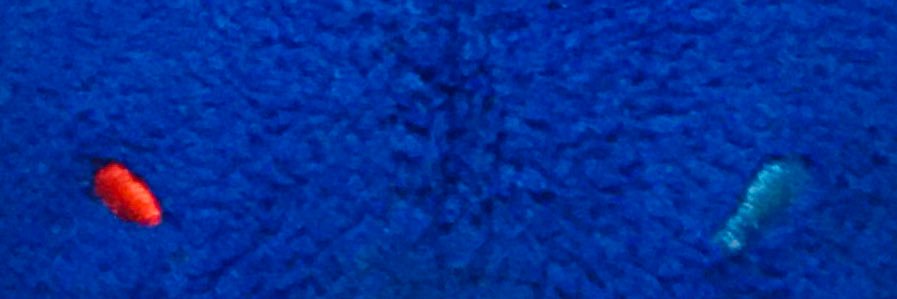 ゆう banner