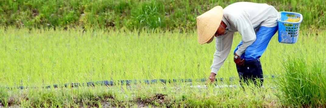 Ken.japan.com banner