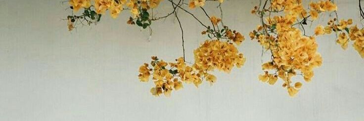 hildARdhani's profile banner image