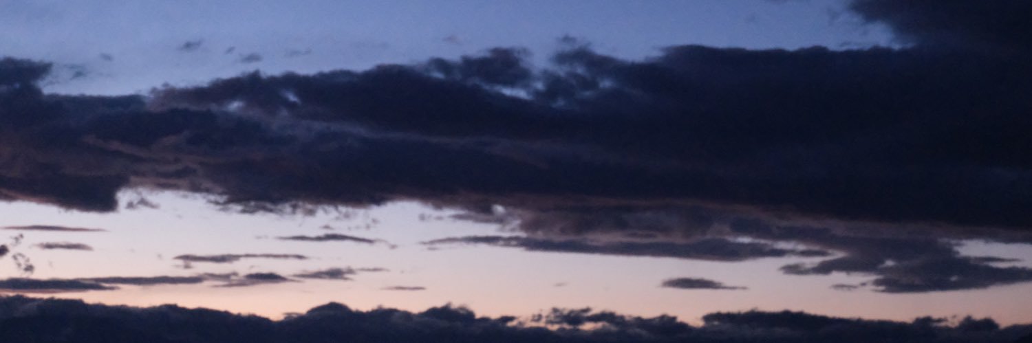 coricoriume's profile banner image