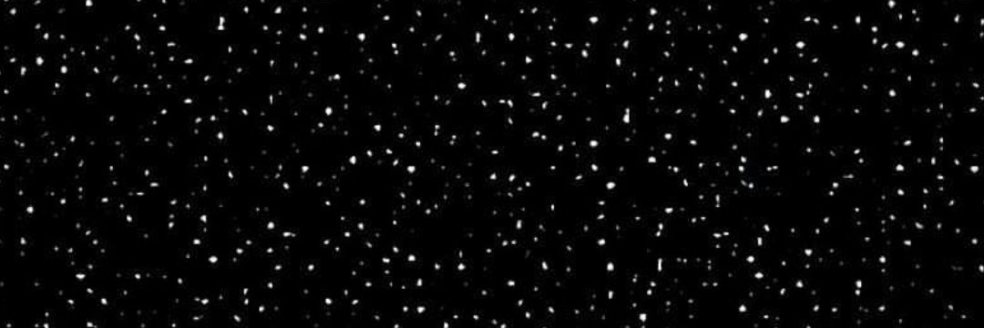 nemi_fran's profile banner image