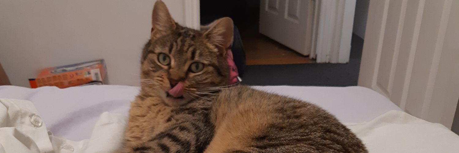 Helen Johanna banner