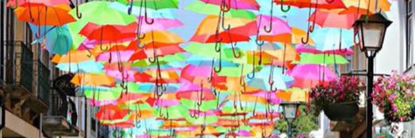 TeachLearnMeg Profile Banner