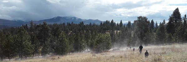 Jennings_LK Profile Banner