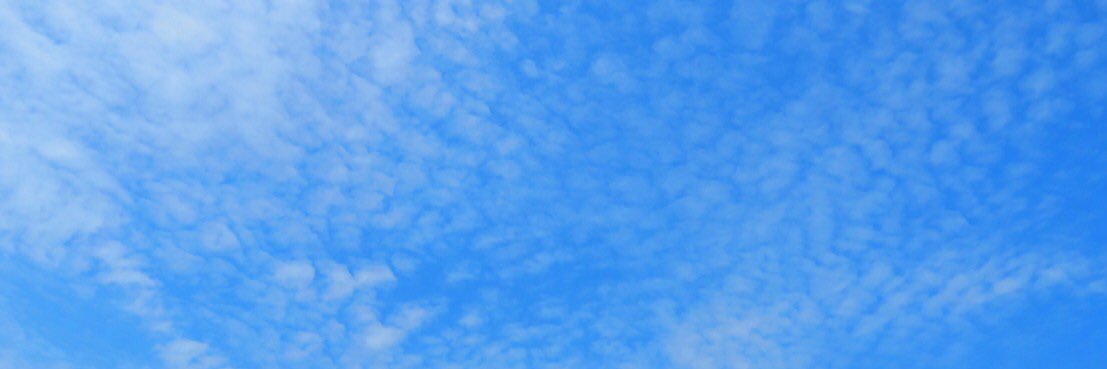yxkxtxi's profile banner image