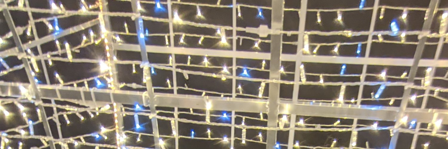 VeenstraMiss's profile banner image