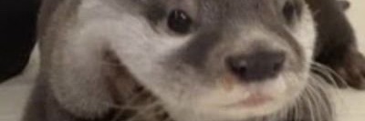 Drbloop1's profile banner image