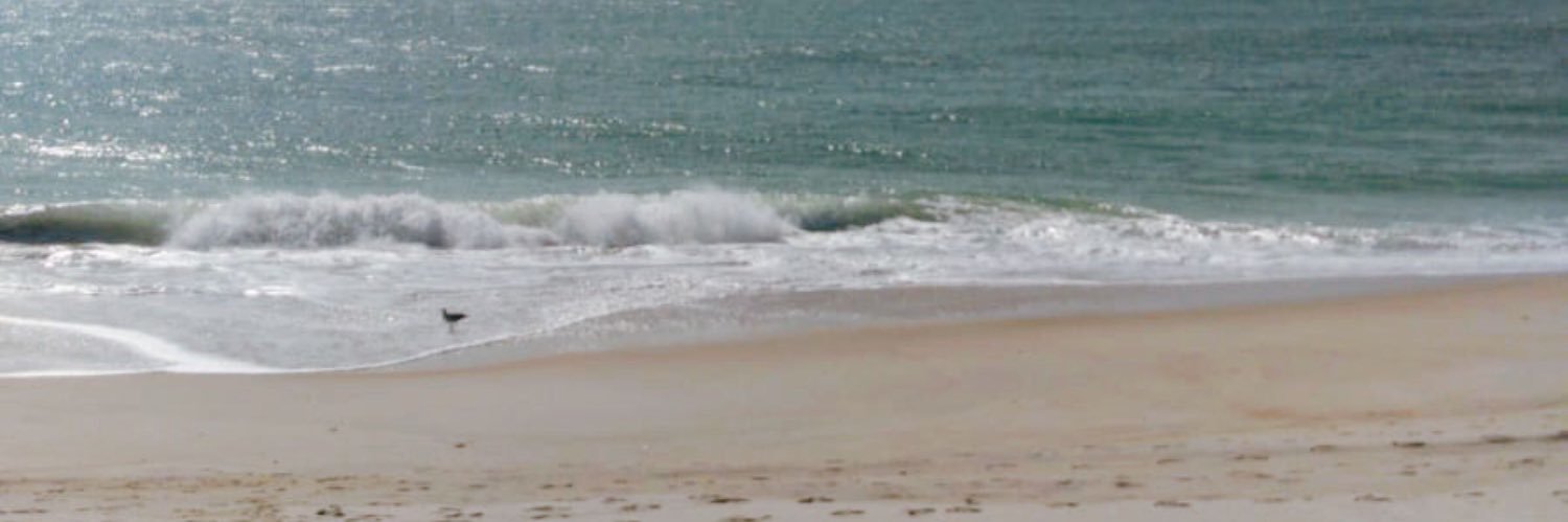 beggu_'s profile banner image