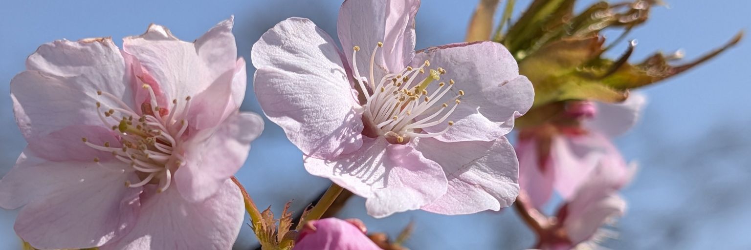 kappa3110's profile banner image