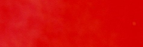 Maria Palazzo banner