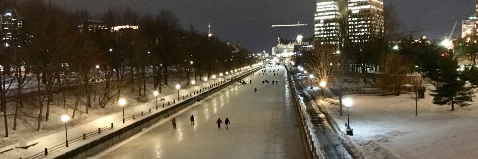 Orad Reshef, PhD banner