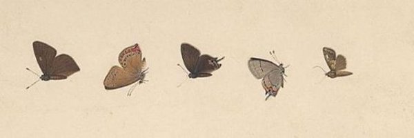 pinacoladie Profile Banner