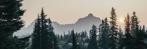 lowercarbon Profile Banner