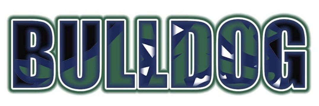 🌟SERMHS Baseball🌟's banner
