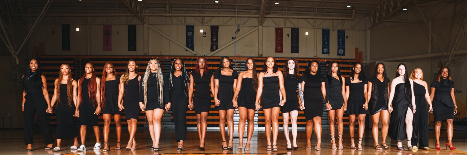𝐋𝐚𝐝𝐲 𝐋𝐢𝐨𝐧𝐬 𝐕𝐨𝐥𝐥𝐞𝐲𝐛𝐚𝐥𝐥 🏐💛's banner