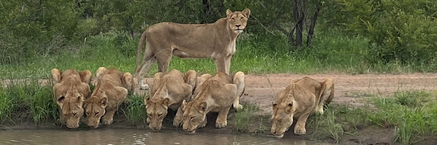 Melissa Caughey PhD banner
