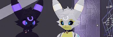 Neira_Cat banner