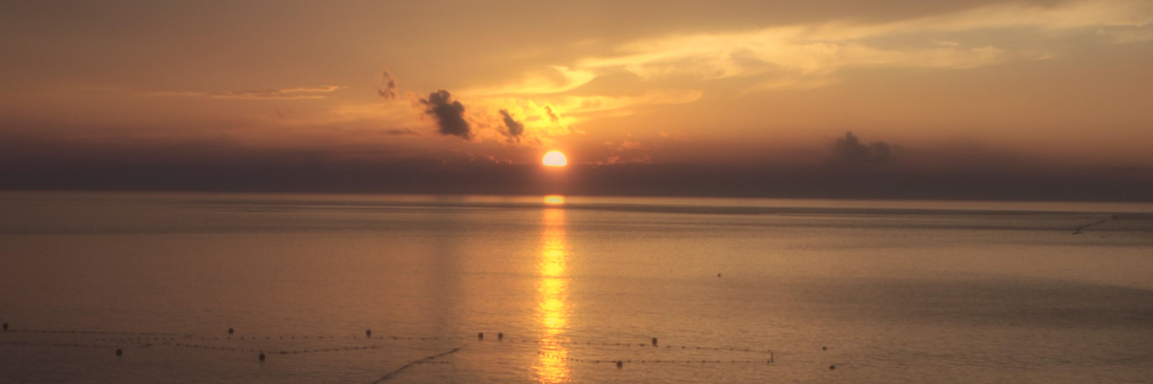 redsundes's profile banner image
