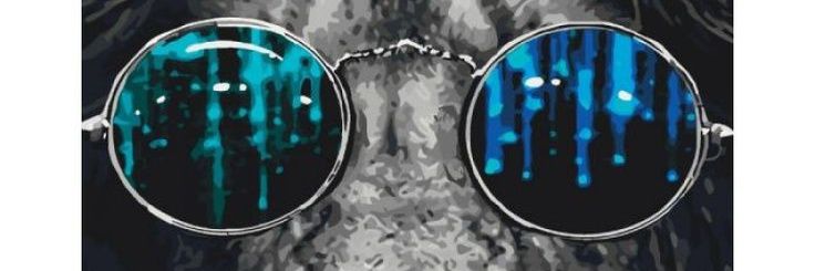 stefangustav1's profile banner image
