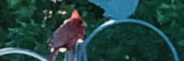 Cheryl Brook 🩵💫💌🪶🧶🧚🏻 banner