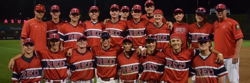 Tri City Red Baseball banner