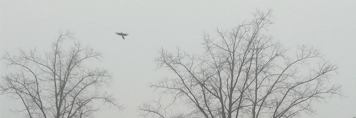 Stephen B.R.E. Brown banner