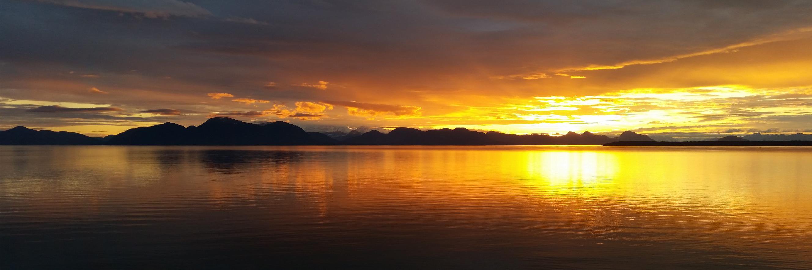 Sergey Gribov banner