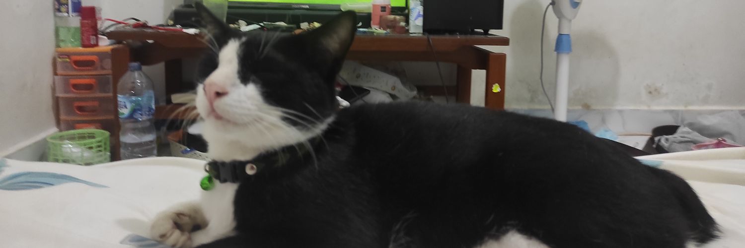 ognaalif's profile banner image