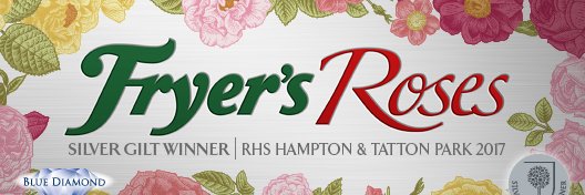 Fryer's GC & Roses banner
