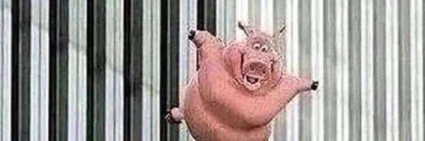 dvzca Profile Banner