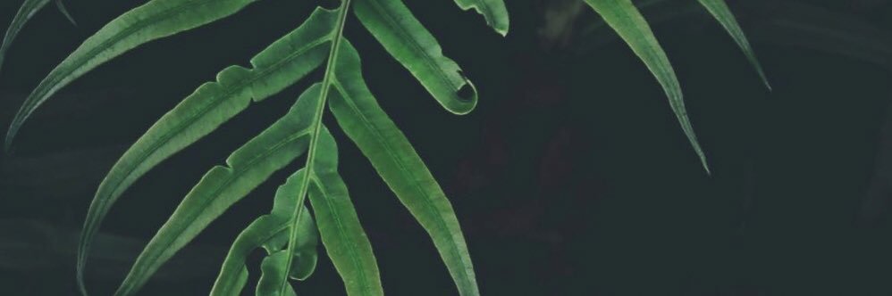 DAQ_1995's profile banner image