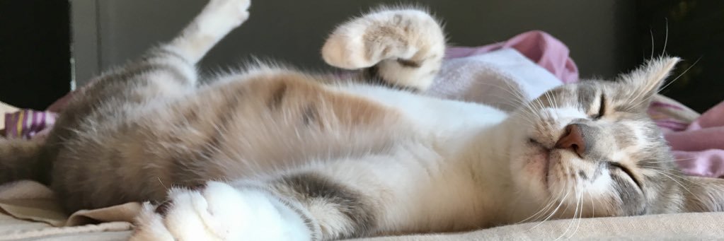 Ariamythe's profile banner image