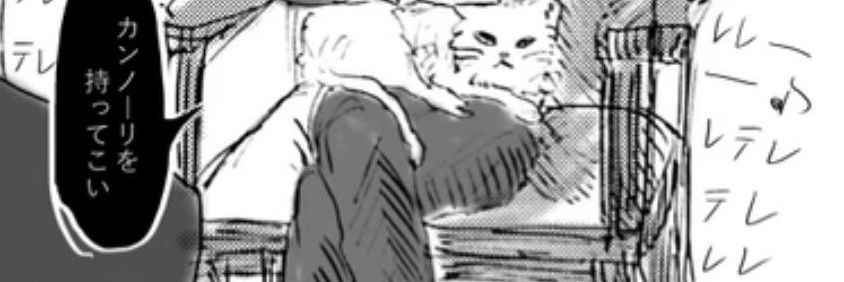 hikorero's profile banner image