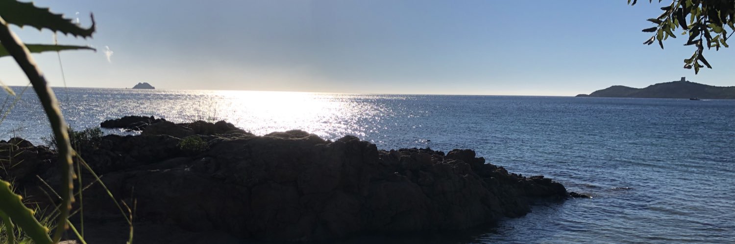 ronan le moal banner