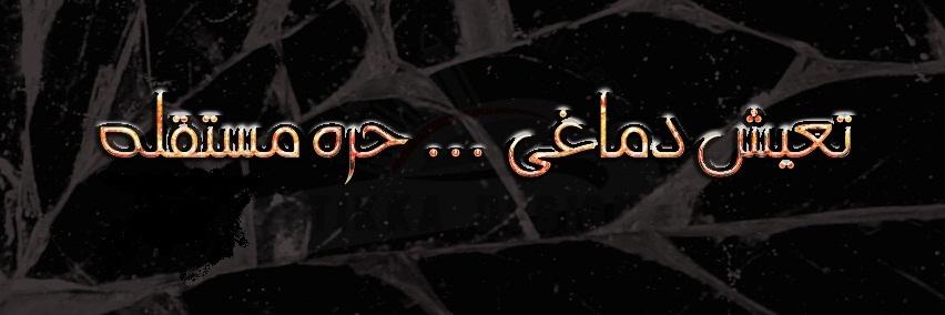 sayedfawzy0's profile banner image