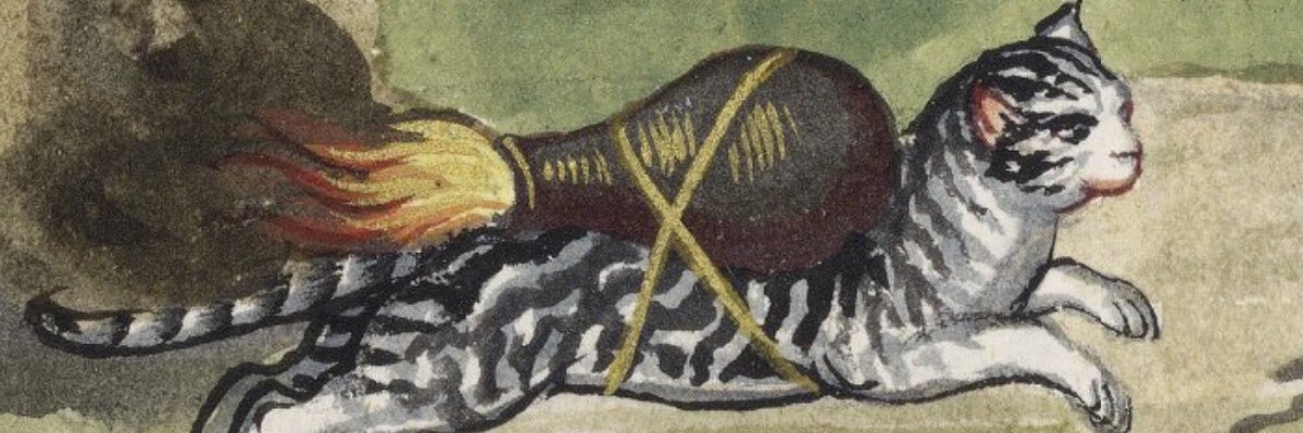 barkus root banner