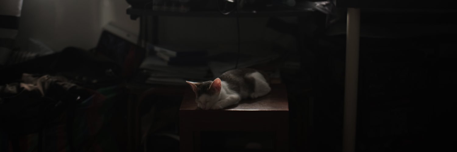 Patchrr's profile banner image