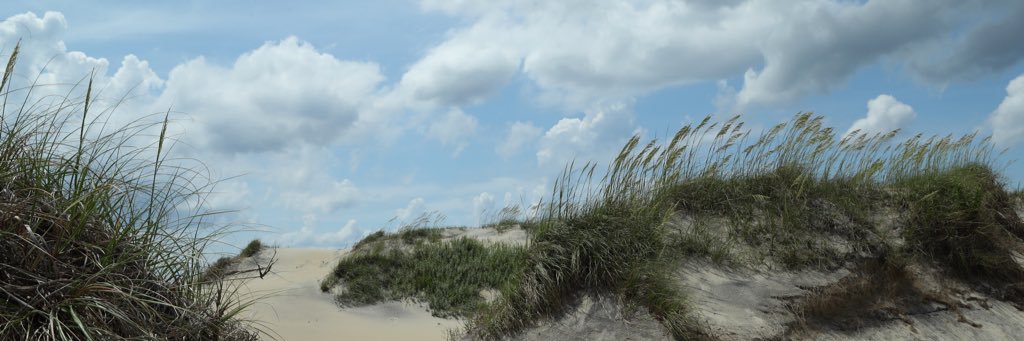 brissonmp's profile banner image