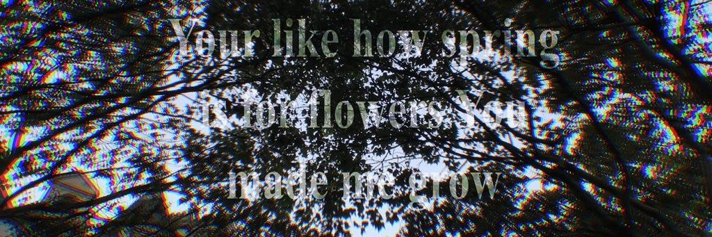 Cece_01_'s profile banner image