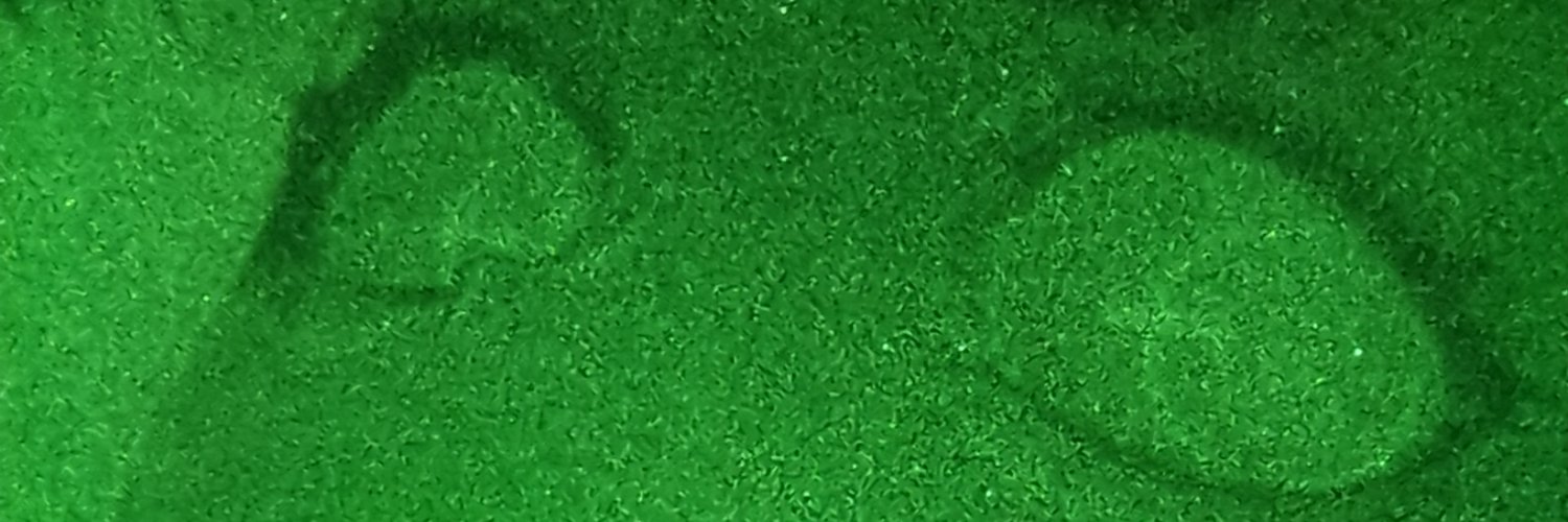 ᴀɢᴀʀᴛʜᴀɴ ɢᴏᴛʜɪᴄ ᴘꜱʏᴏᴘ ᴍᴀɢᴇ banner