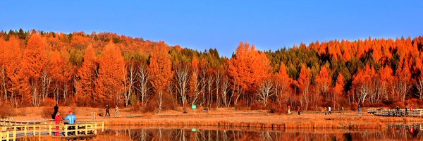 lambdawins Profile Banner