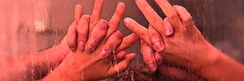 ลิลลี่ banner