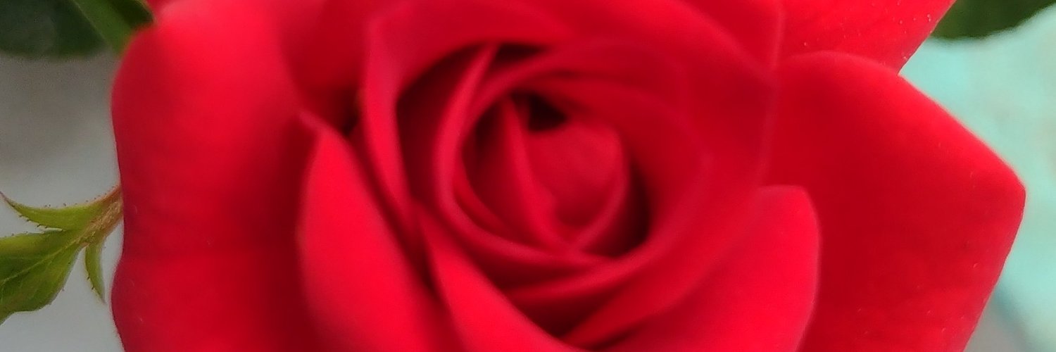 Bhupender8956's profile banner image