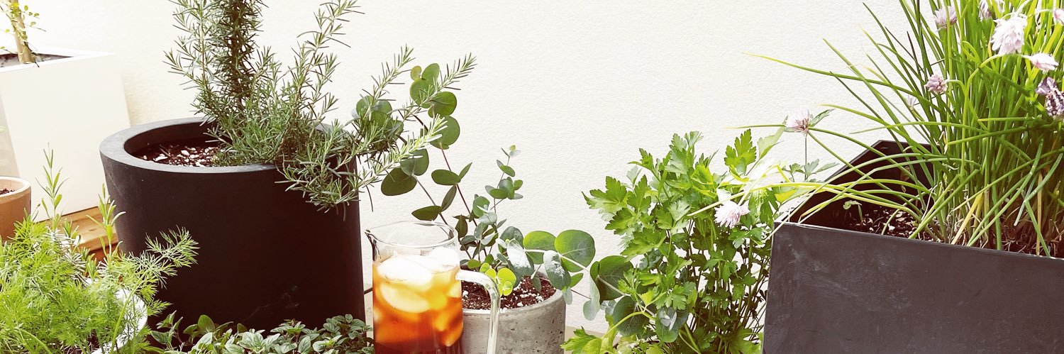 shannon weber banner