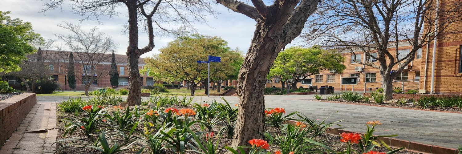 Cape Teaching and Leadership Institute banner