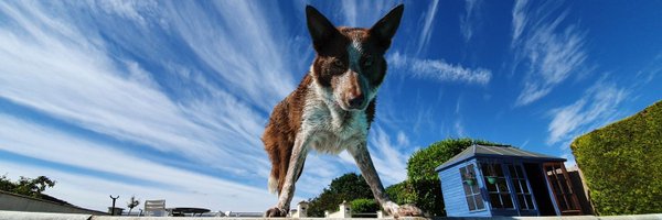 Ruby86814902 Profile Banner