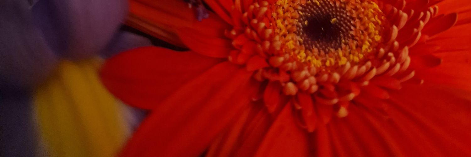 OneDAngela's profile banner image